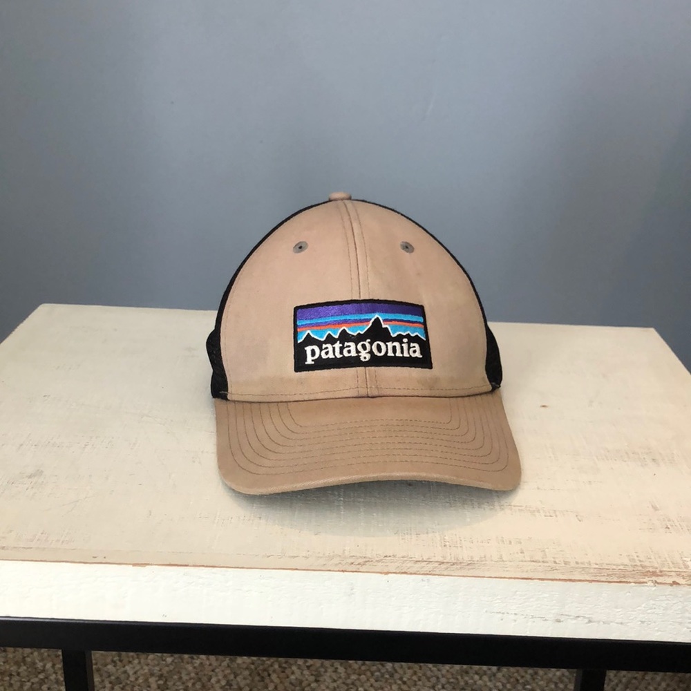 Patagonia snap back